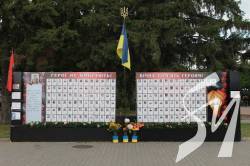 11       -  